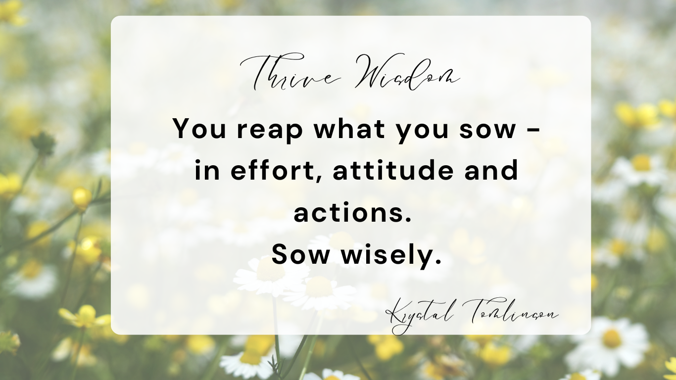 Thrive Wisdom